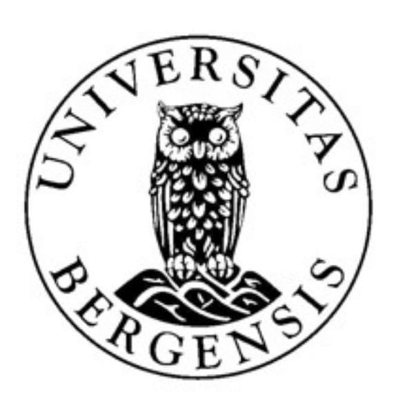 University of Bergen Logo - Society Sponsor and University Partner