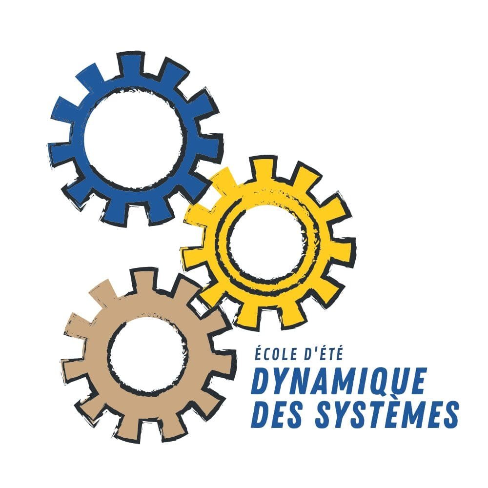 Summer School in Systems Dynamics in French